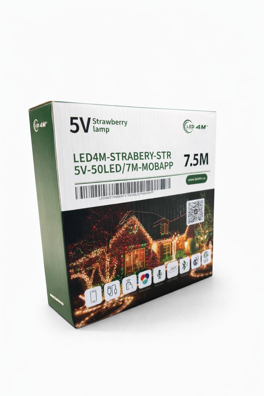 Box of LED strawberry lamp with green and white design