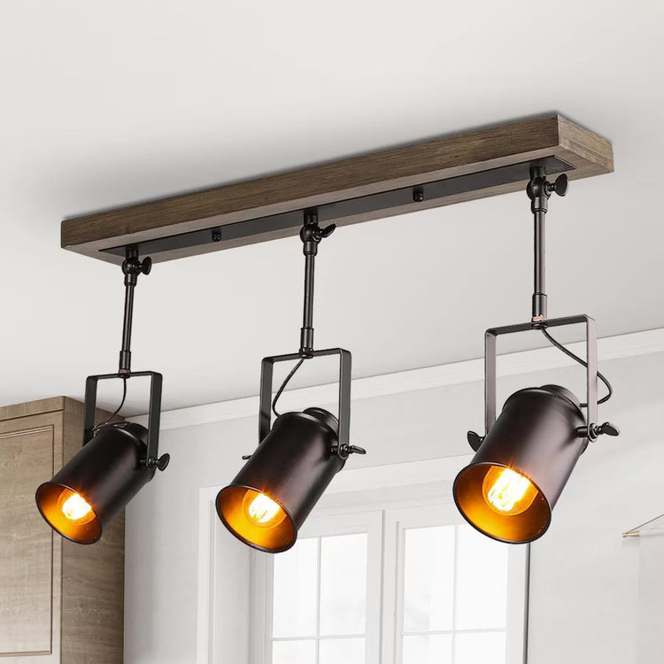 Pendant Lights (Track Lights)