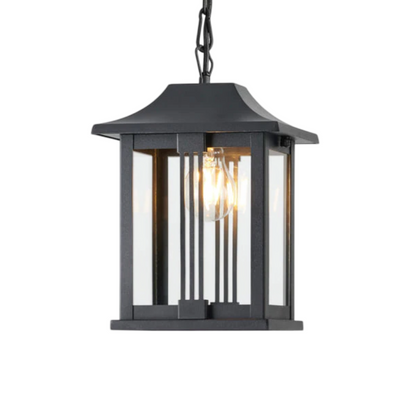 Black outdoor pendant light with clear glass on a white background