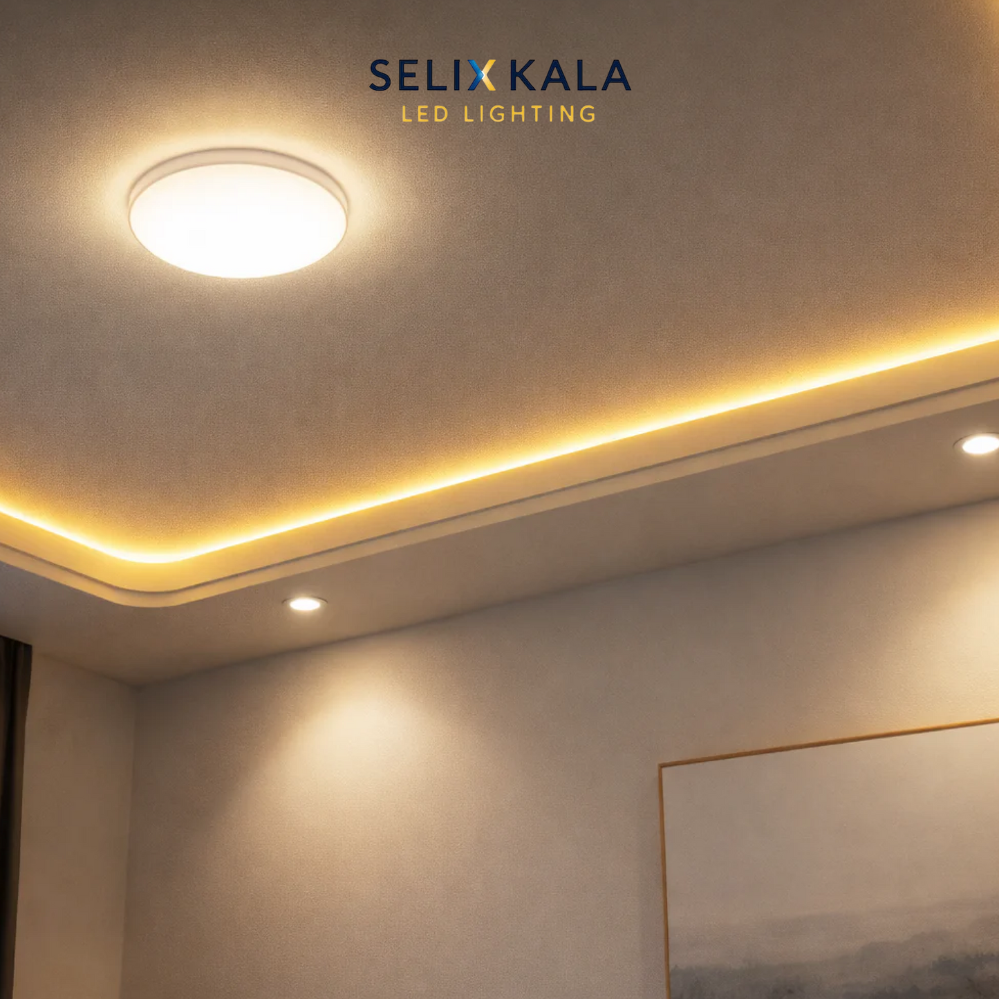 10M COB LED Strip Light - Dotless Continuous Glow, 24V Professional Grade, 12mm Cuttable (IP20)