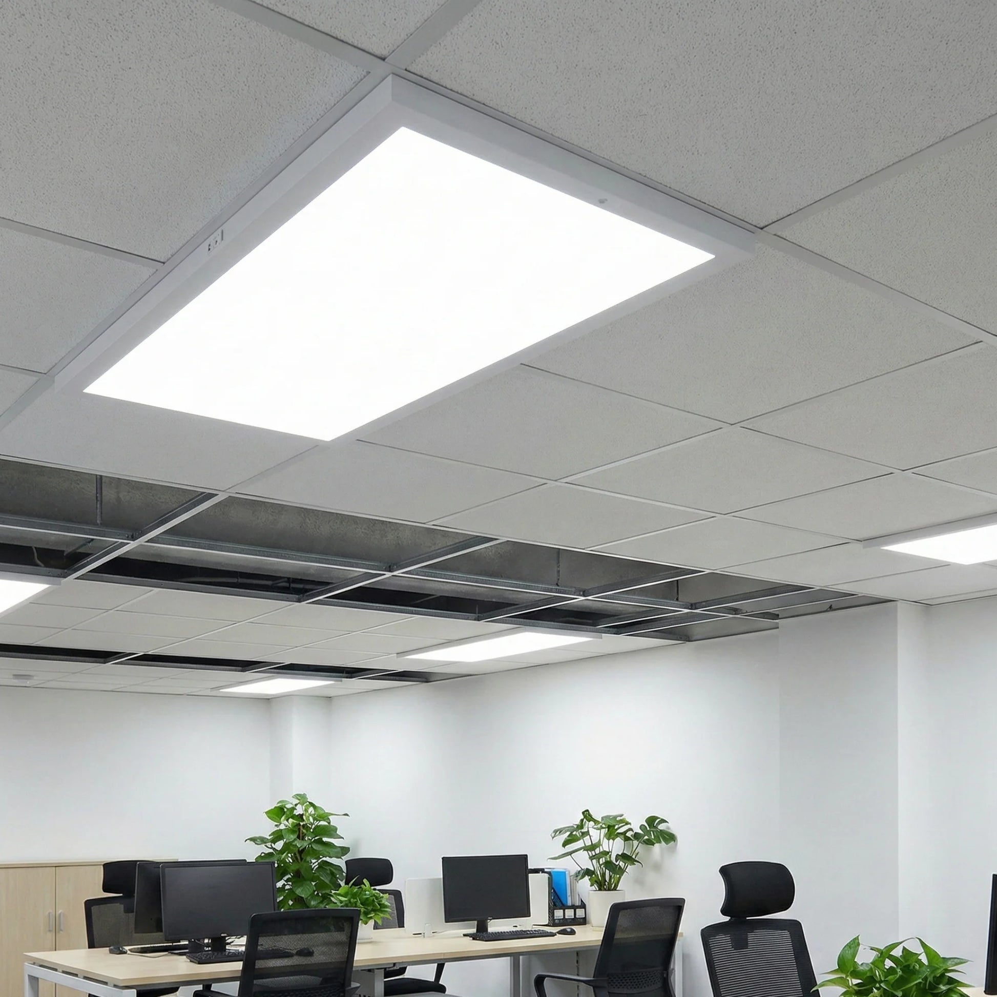 Ceiling with embedded lights and office setup below | Selix Kala