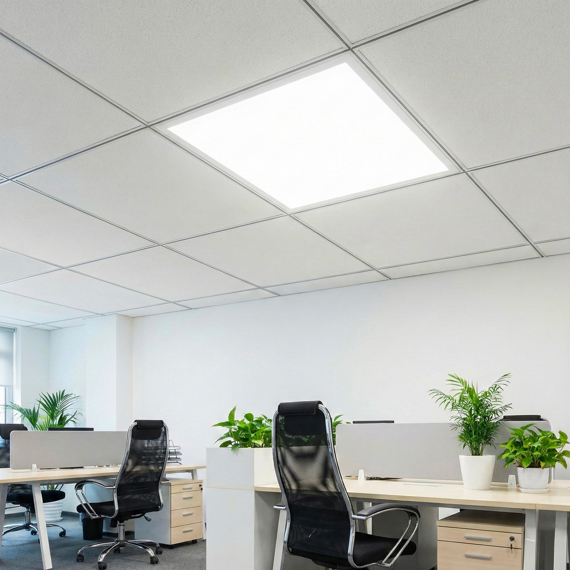 led-panel-light-installation-in-commercial-office-ceiling